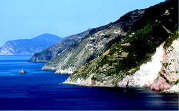 Scogliera delle 5 terre