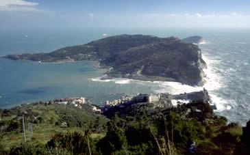 Panoramic of the Palmaria island