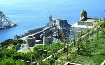 Panoramica dal vigneto e dal castello