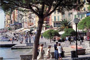 Clicca per visualizzare l'immagine